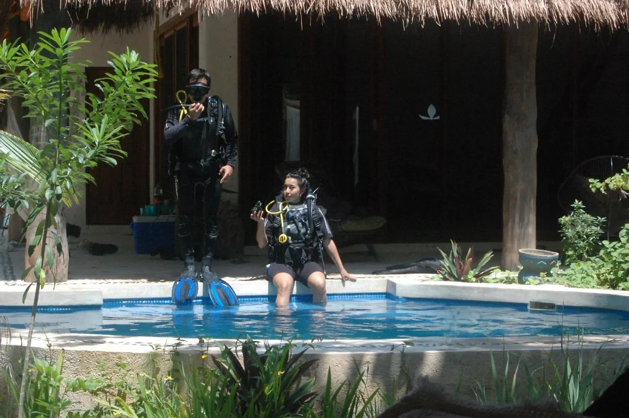 Villa Satori Puerto Morelos Mexico
