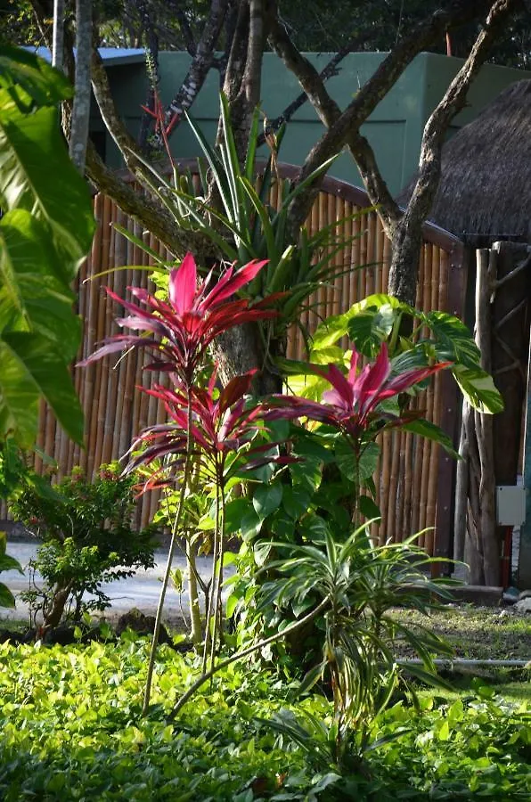 Villa Satori Puerto Morelos México